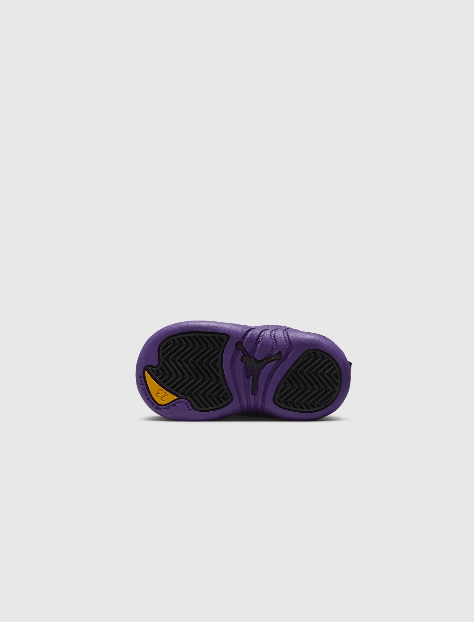 Air Jordan 12 Retro Purple TD