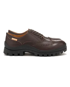 Brogue Balmoral Shoes #2146 - Dark Brown