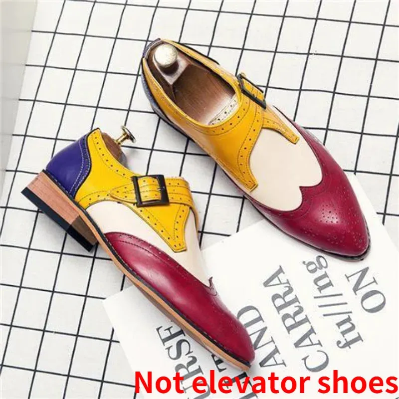 Designer Brogue Shoes