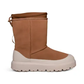 UGG Classic Short Chestnut/Whitecap - Unisex